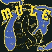 Thumbnail for the Mule - Mule link, provided by host site