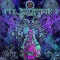 Thumbnail for the Sator Arepo - Multidimensional link, provided by host site