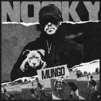 Thumbnail for the Nooky - Mungo link, provided by host site
