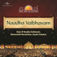 Thumbnail for the Gayatri Ashokan - Muralidhara Krishna Thulasidhara link, provided by host site