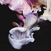 Thumbnail for the Simian Mobile Disco - Murmurations link, provided by host site