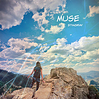 Thumbnail for the Stingray - Muse link, provided by host site