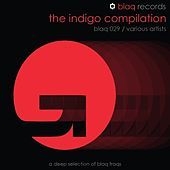 Image of Mild Bang linking to their artist page due to link from them being at the top of the main table on this page