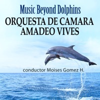 Thumbnail for the Orquesta de Camara Amadeo Vives - Music Beyond Dolphins link, provided by host site