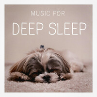 Thumbnail for the Relax Meditate Sleep - Music for Deep Sleep link, provided by host site