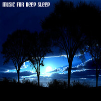 Thumbnail for the Music For Deep Sleep - Music for Deep Sleep link, provided by host site