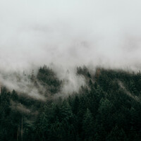 Thumbnail for the Spiritual Fitness Music - Music for Deep Sleep link, provided by host site