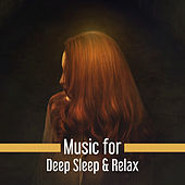 Thumbnail for the The Rest - Music for Deep Sleep & Relax – No More Stress, Relaxing Night, Evening Sounds to Calm Down, Mind Peace link, provided by host site