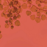 Thumbnail for the Deep Relaxation - Music for Spa Therapy link, provided by host site