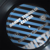 Thumbnail for the Danny Tenaglia - Music Is the Answer link, provided by host site