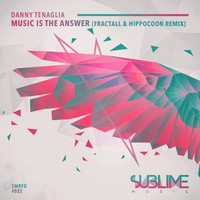 Thumbnail for the Danny Tenaglia - Music Is the Answer link, provided by host site