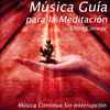 Thumbnail for the Chris Conway - Música Guía para la Meditación: Música Continua Sin Interrupción link, provided by host site