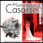 Thumbnail for the Estudios Talkback - Música para Casarse. El Repertorio para Cada Momento de una Ceremonia en la Iglesia link, provided by host site