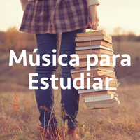 Thumbnail for the Studying Music - Música para Estudiar link, provided by host site