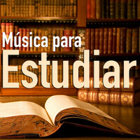 Thumbnail for the Musica Para Dormir - Musica para Estudiar link, provided by host site