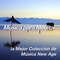 Thumbnail for the Sonidos de la Naturaleza Relajacion - Musica para Meditar: la Mejor Colección de Música New Age Espiritual de Piano para el Relajamiento y lograr la Paz, Encontrar la Calma y Combatir el Estrés, la Ansiedad, la Ira y la Mente Agitada link, provided by host site