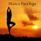 Thumbnail for the Relajacion Conjunto - Musica para Yoga link, provided by host site