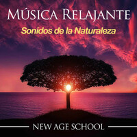 Thumbnail for the Best Harmony - Música Suave link, provided by host site