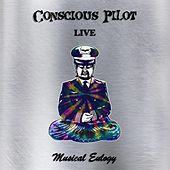 Thumbnail for the Conscious Pilot - Musical Eulogy link, provided by host site