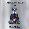 Thumbnail for the Conscious Pilot - Musical Eulogy link, provided by host site