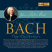 Thumbnail for the Aurèle Nicolet - Musical Offering, BWV 1079: Trio: Allegro link, provided by host site