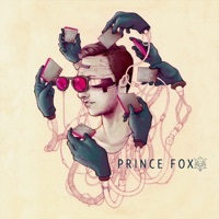 Thumbnail for the Prince Fox - Musings link, provided by host site
