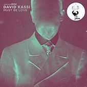 Thumbnail for the David Kassi - Must Be Love link, provided by host site