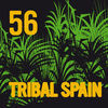 Thumbnail for the J.Velarde - Mustang 461 link, provided by host site