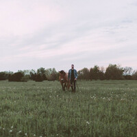 Thumbnail for the Matthew Thomas - Mustangs & Thoroughbreds, Vol. 1 link, provided by host site