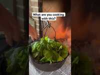 Thumbnail for the Whosoever South - Mustard Greens #whosoeversouth link, provided by host site