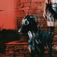 Thumbnail for the Leon Thomas - MUTT link, provided by host site