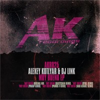Thumbnail for the DJ Link - Muy Bueno link, provided by host site