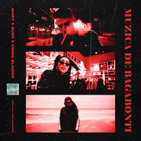 Thumbnail for the Shift - Muzica De Bagabonti link, provided by host site