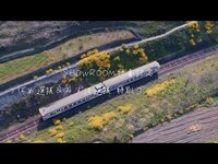 Thumbnail for the HKT48 - 「君とどこかへ行きたい」MVリレー配信ver. link, provided by host site