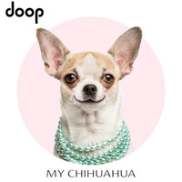 Thumbnail for the Doop - My Chihuahua link, provided by host site