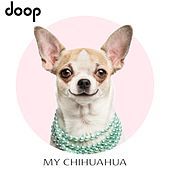 Thumbnail for the Doop - My Chihuahua link, provided by host site