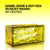 Thumbnail for the Daniel Bovie - My Destiny (Daniel Bovie & Roy Rox vs. Ricky Rivaro) link, provided by host site