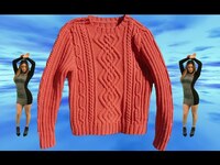 Thumbnail for the Flynt Flossy - MY FAVORITE SWEATER link, provided by host site