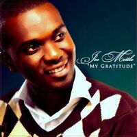Thumbnail for the Joe Mettle - My Gratitude link, provided by host site