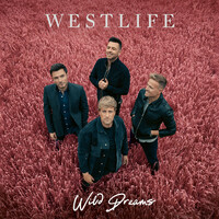 Thumbnail for the Westlife - My Hero link, provided by host site
