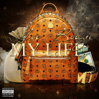 Thumbnail for the Ace Boogie - My Life link, provided by host site