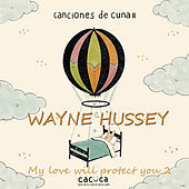 Thumbnail for the Wayne Hussey - My Love Will Protect You 2 link, provided by host site
