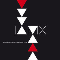 Thumbnail for the IAMX - My Secret Friend link, provided by host site