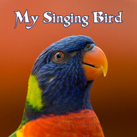 Thumbnail for the No Logo - My Singing Bird (Electronic Version) link, provided by host site