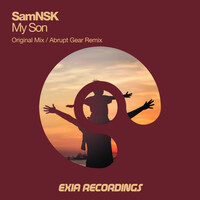Image of SamNSK linking to their artist page due to link from them being at the top of the main table on this page