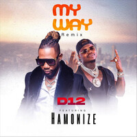 Thumbnail for the D12 - My Way (Remix) link, provided by host site