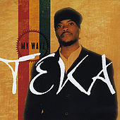 Thumbnail for the Teka - My Wayz link, provided by host site