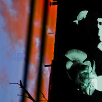 Thumbnail for the Eloq - Mysterious (Remixes) link, provided by host site
