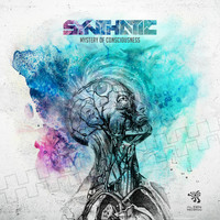 Thumbnail for the Synthatic - Mystery of Consciousness link, provided by host site