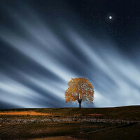 Thumbnail for the Asian Zen Meditation - Mystical Spa and Stress Relief link, provided by host site